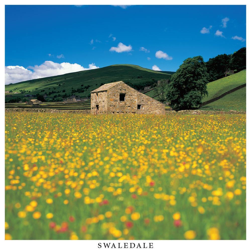 Swaledale Square Postcard by Cardtoons