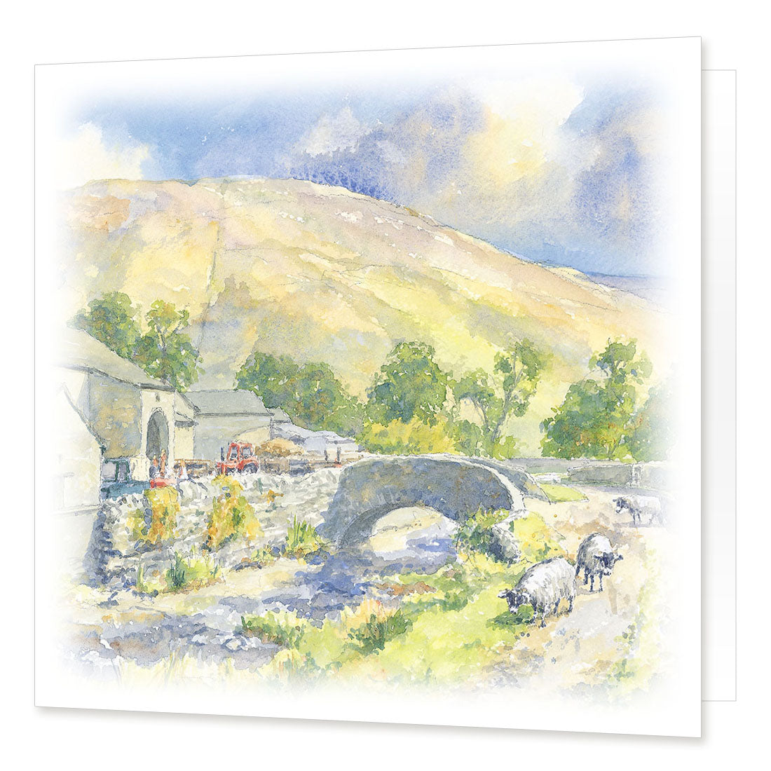 Foxup greetings card | Great Stuff from Cardtoons