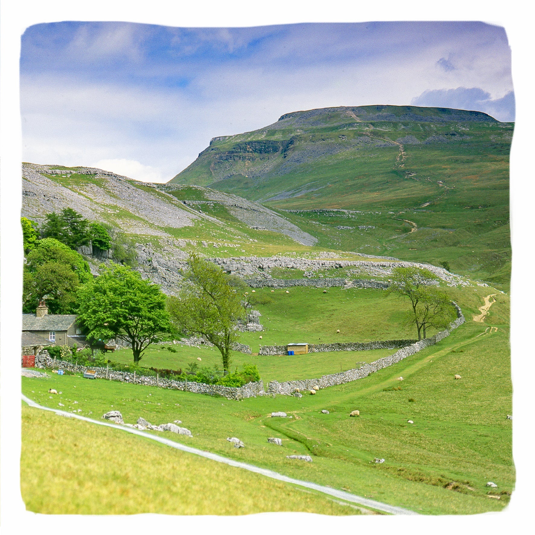 Ingleborough Greetings Card