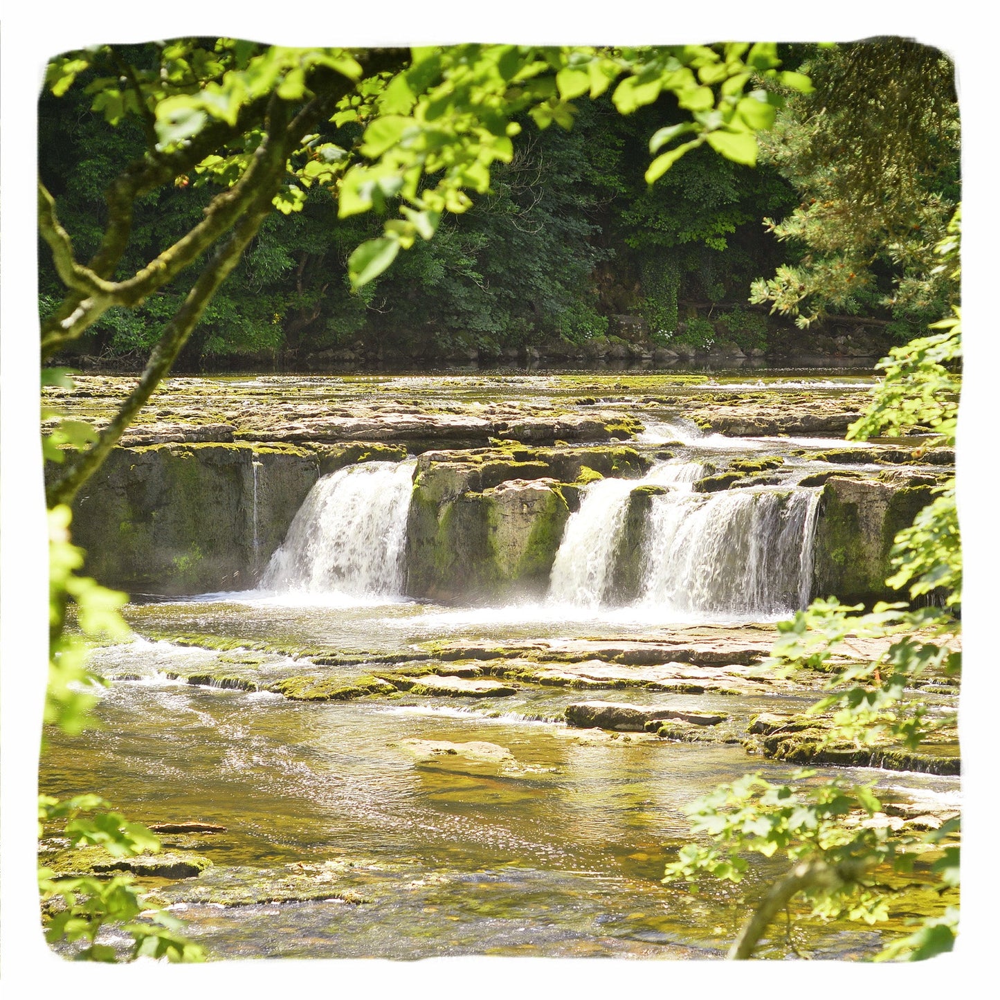 Aysgarth Falls Greetings Card