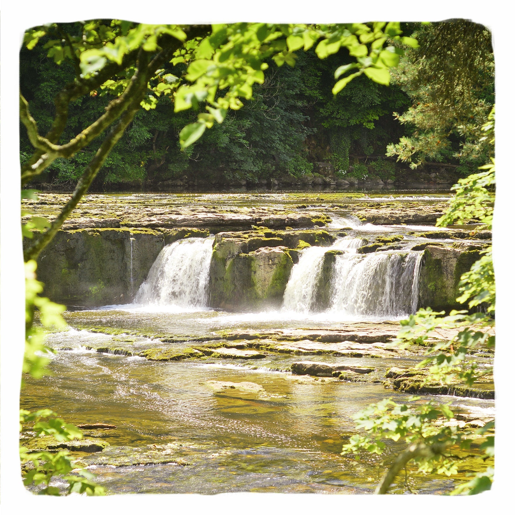 Aysgarth Falls Greetings Card