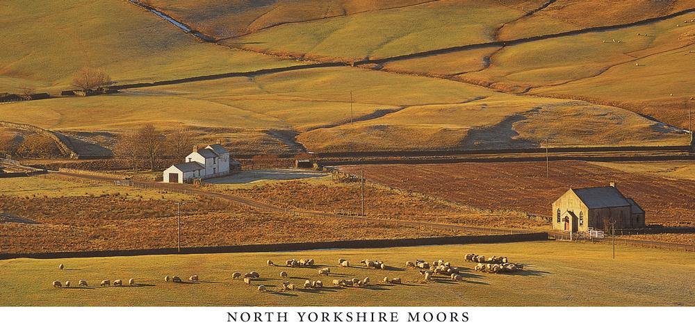 North Yorkshire Moors postcard | Great Stuff from Cardtoons