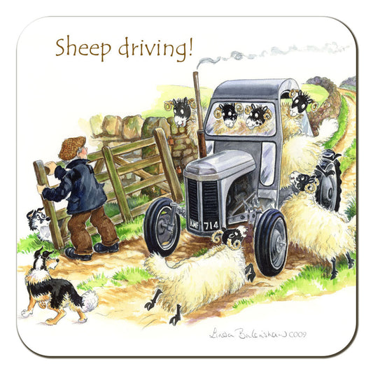Country Comicals "Sheep Driving" Coaster by Linda Birkinshaw