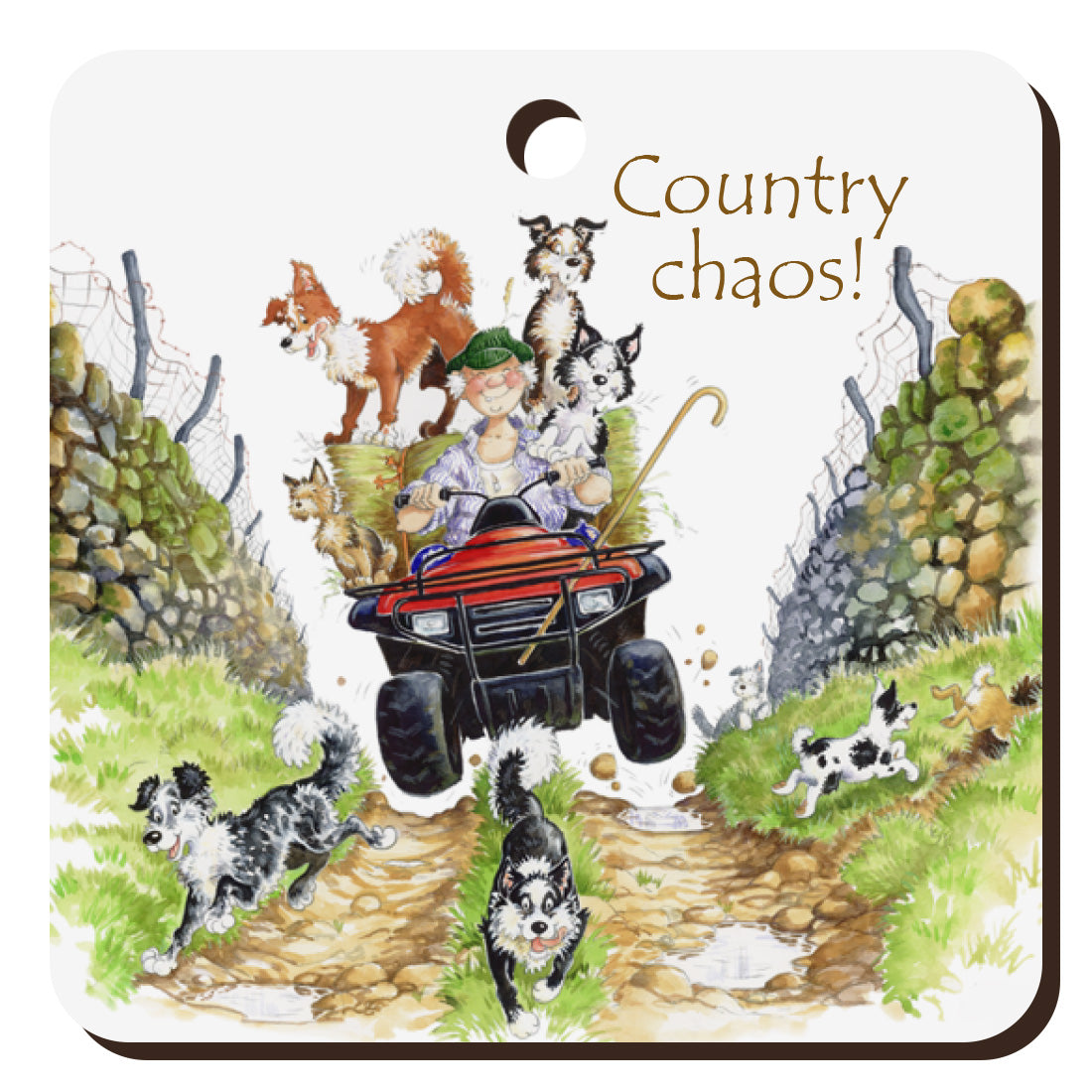 "Country Chaos" Keyring | Great Stuff from Cardtoons