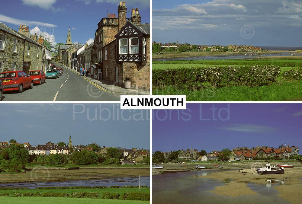 Alnmouth Postcard | Great Stuff from Cardtoons