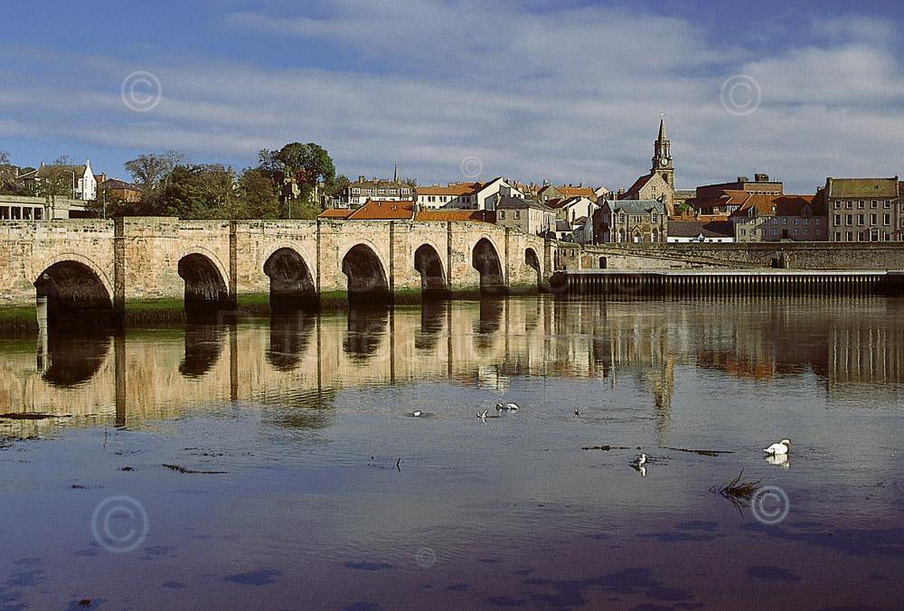 Berwick-upon-Tweed postcard | Great Stuff from Cardtoons