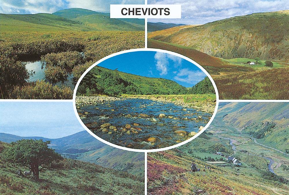 The Cheviots postcard | Great Stuff from Cardtoons