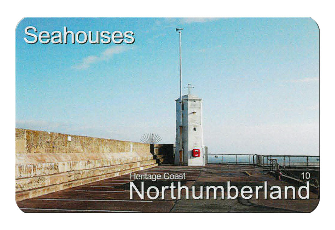 Seahouses flexible fridge magnet | Cardtoons