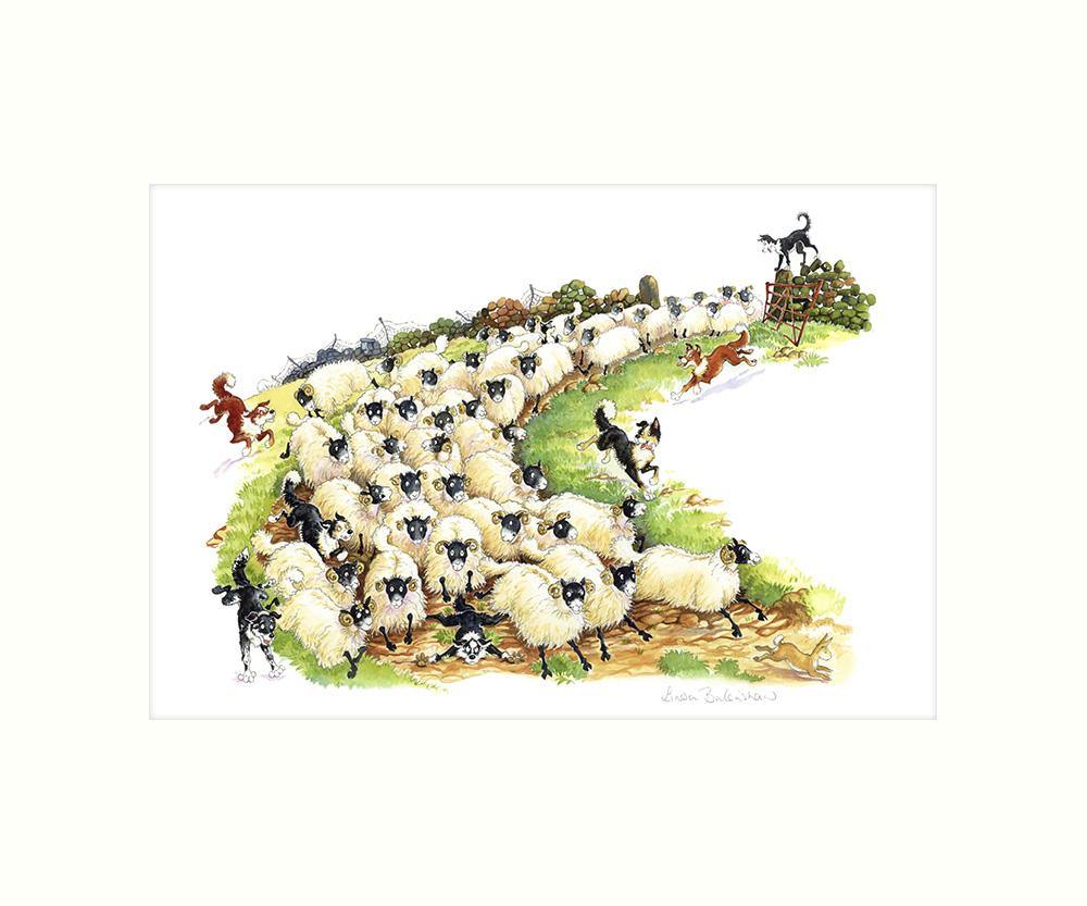 "The Sheep Drive" Art Print | Great Stuff from Cardtoons
