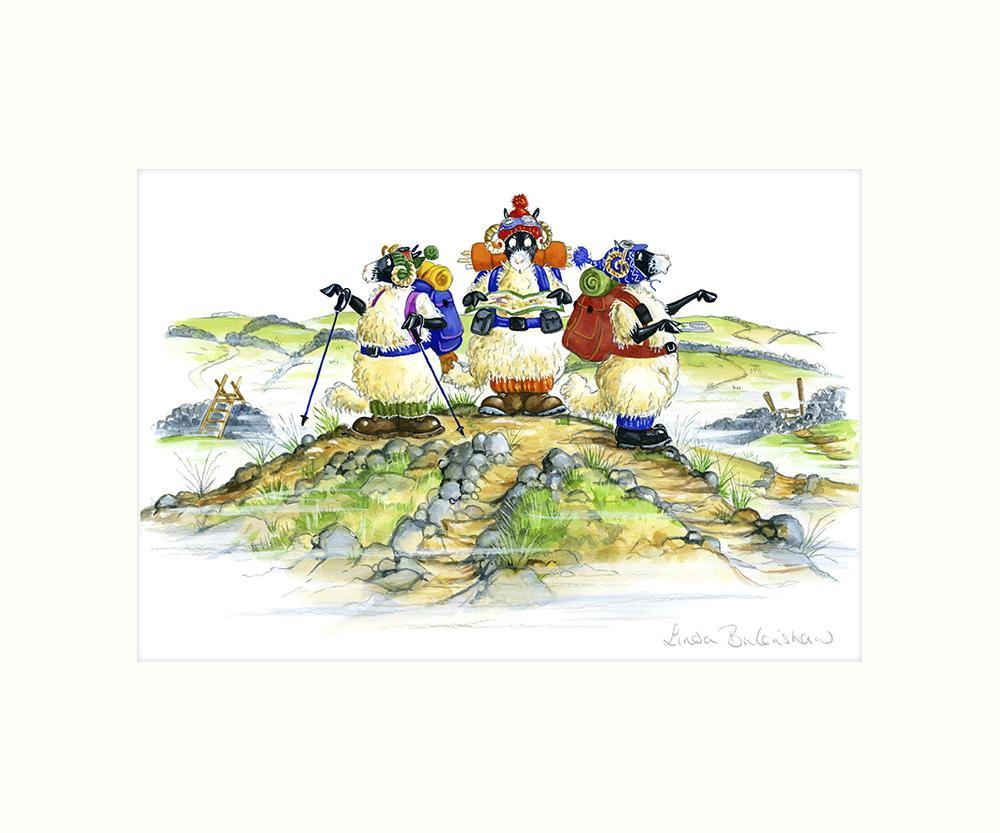 "It's That Way" Art Print | Great Stuff from Cardtoons