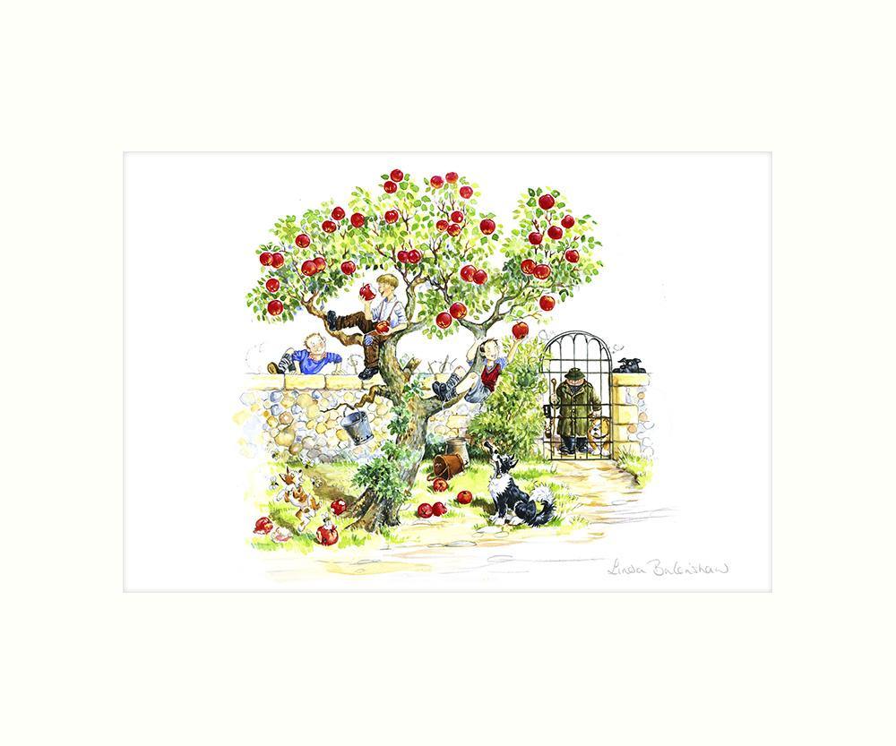 "Scrumping" Art Print | Great Stuff from Cardtoons