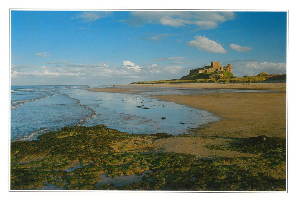 Bamburgh Castle Postcard | Great Stuff from Cardtoons