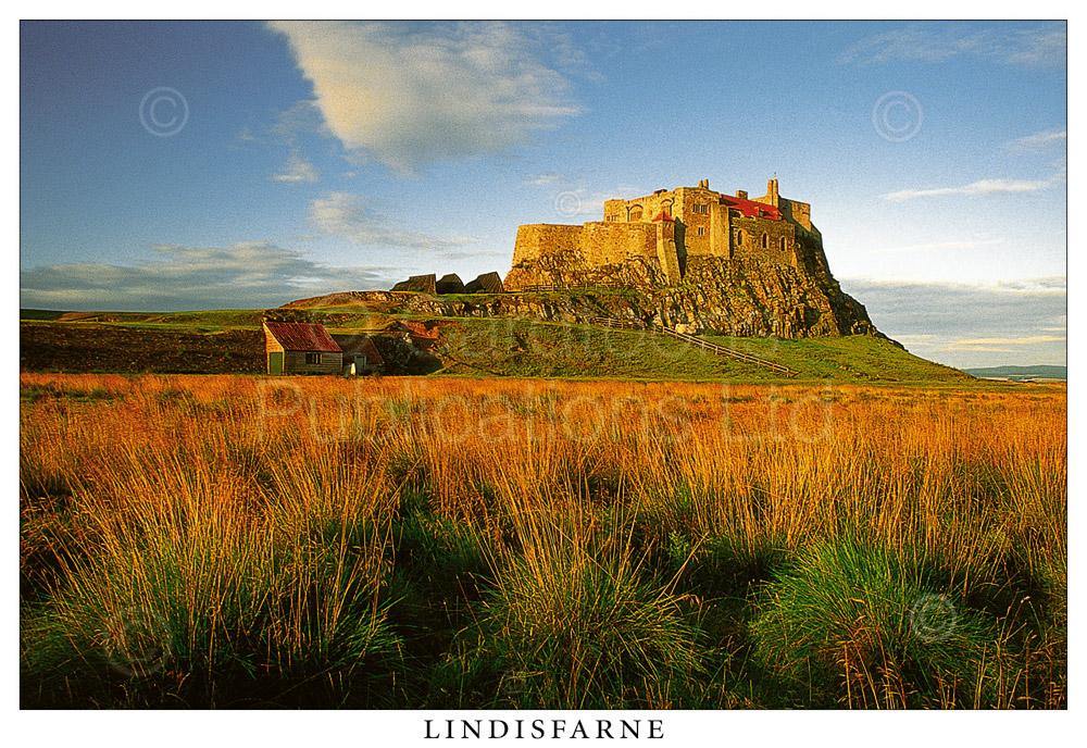 Lindisfarne Castle postcard | Great Stuff from Cardtoons