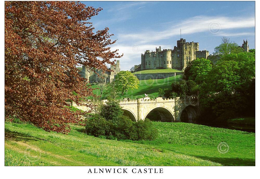 Alnwick Castle & Lion Bridge Postcard | Great Stuff from Cardtoons