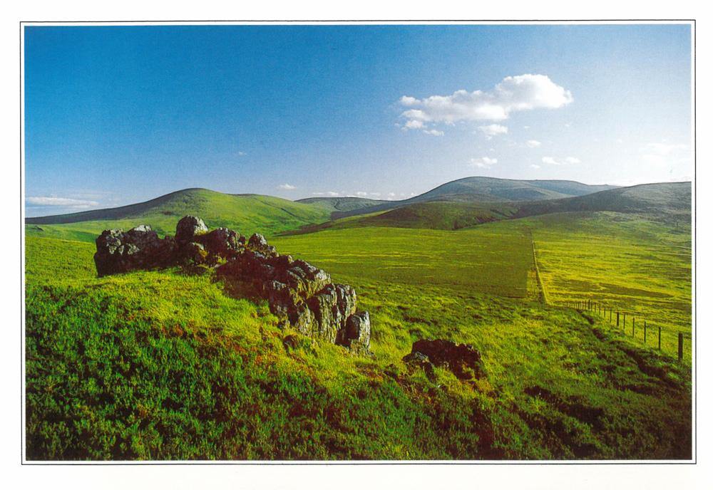 Cheviot Hills postcard | Great Stuff from Cardtoons