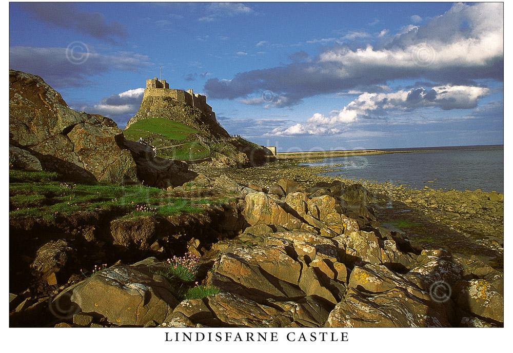 Lindisfarne Castle postcard | Great Stuff from Cardtoons
