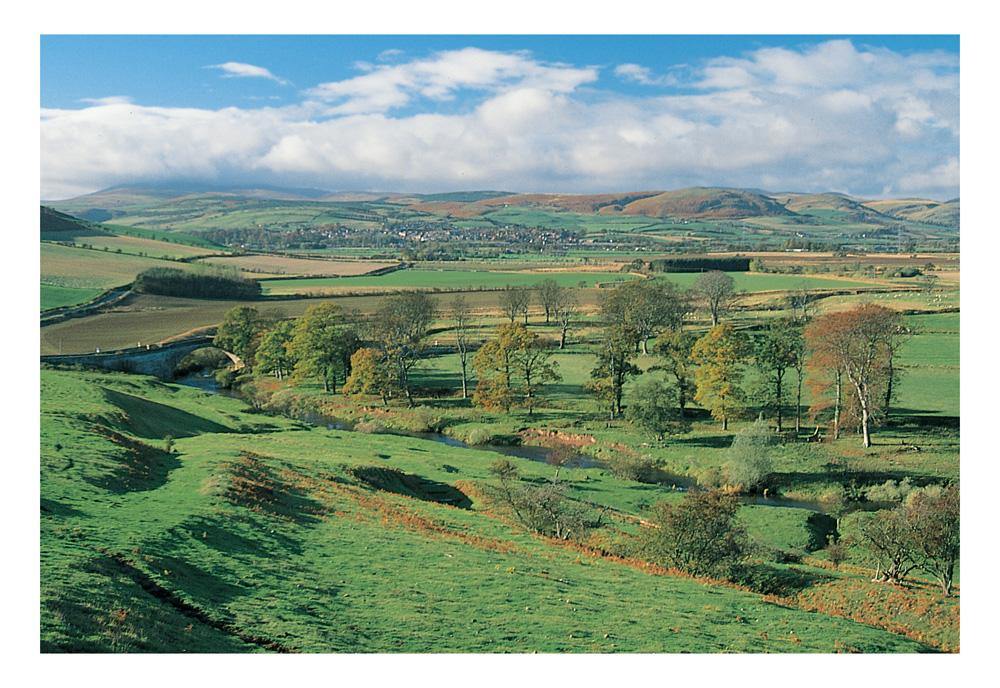 Wooler and Cheviots postcard | Great Stuff from Cardtoons