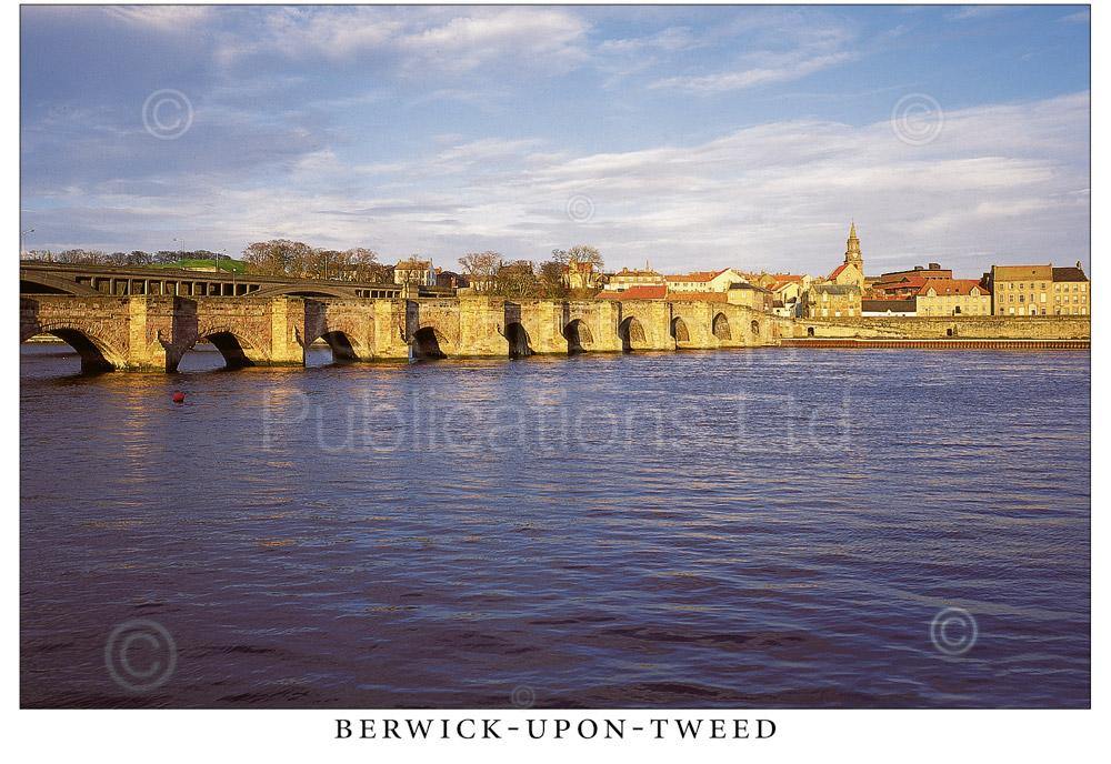 Berwick-upon-Tweed postcard | Great Stuff from Cardtoons