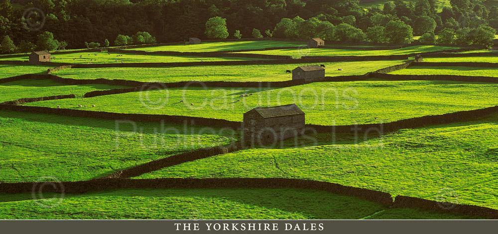 The Yorkshire Dales postcard | Great Stuff from Cardtoons