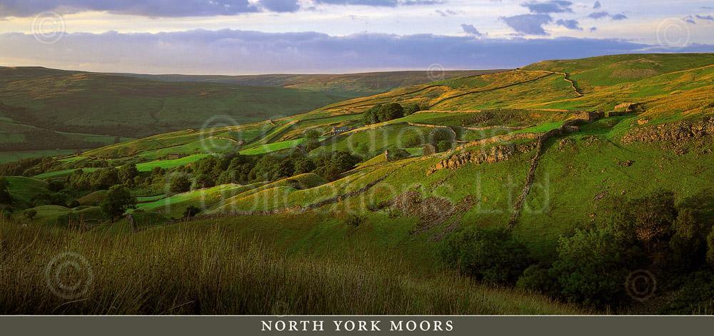 North York Moors postcard | Great Stuff from Cardtoons