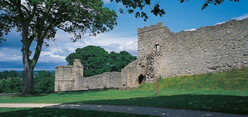 Pickering Castle postcard | Great Stuff from Cardtoons