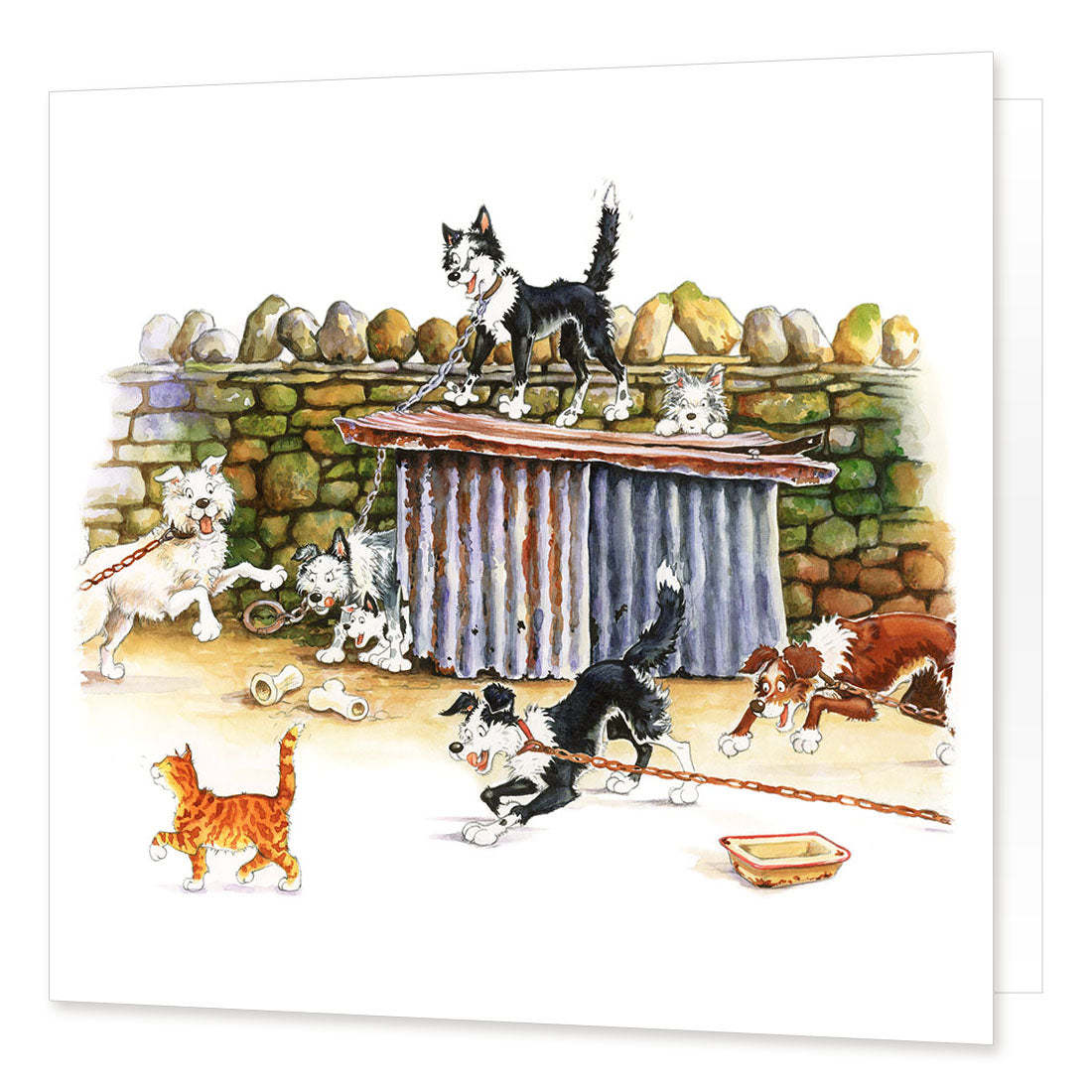 "The Cat Walk" Greetings Card | Great Stuff from Cardtoons