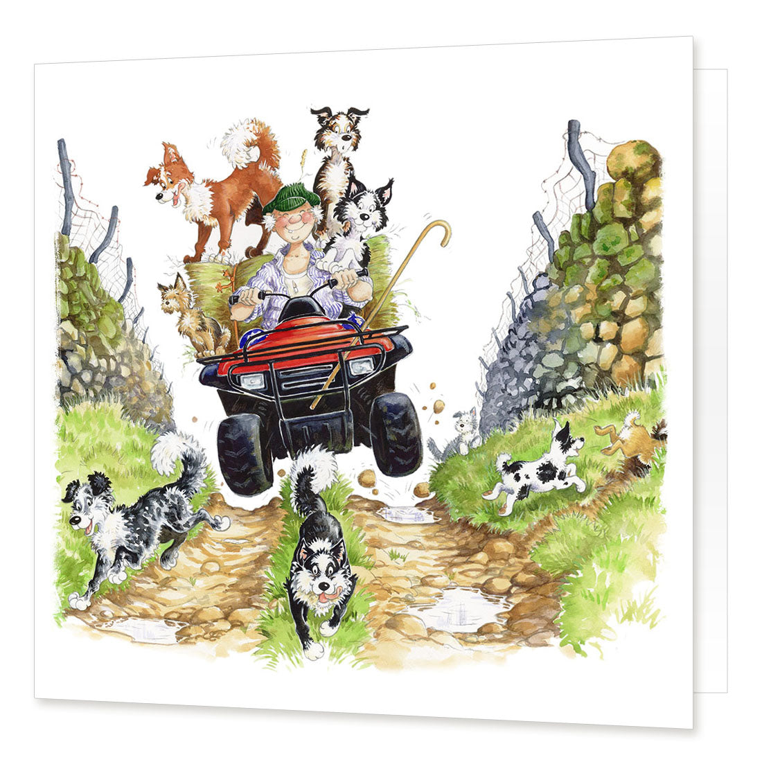 "Country Chaos" Greetings Card | Great Stuff from Cardtoons