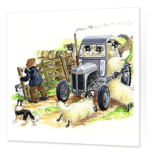 "Sheep Driving" Greetings Card | Great Stuff from Cardtoons