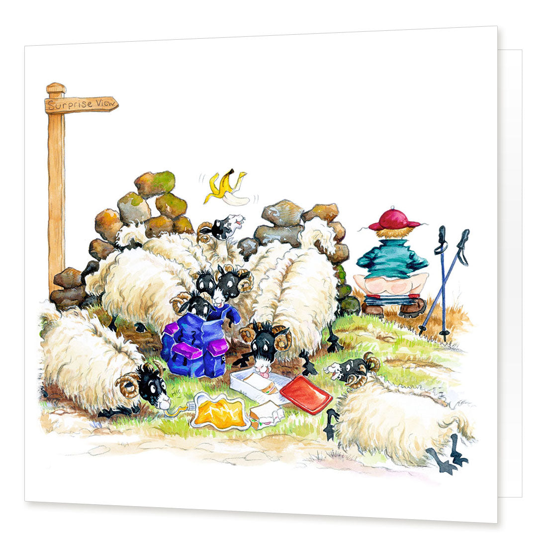 "Surprise View" Greetings Card | Great Stuff from Cardtoons