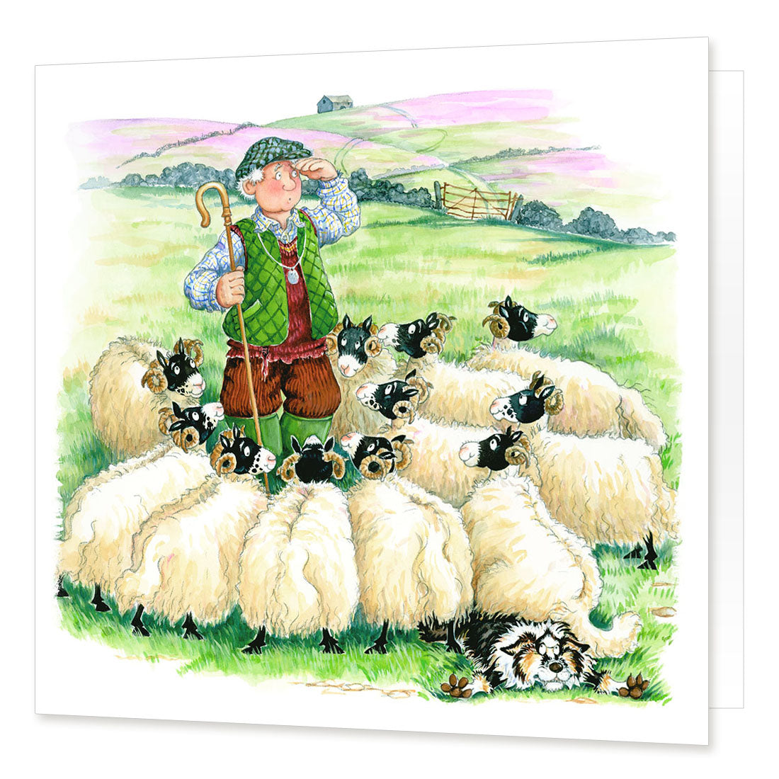 "Sheep Dog Trials" Greetings Card | Great Stuff from Cardtoons