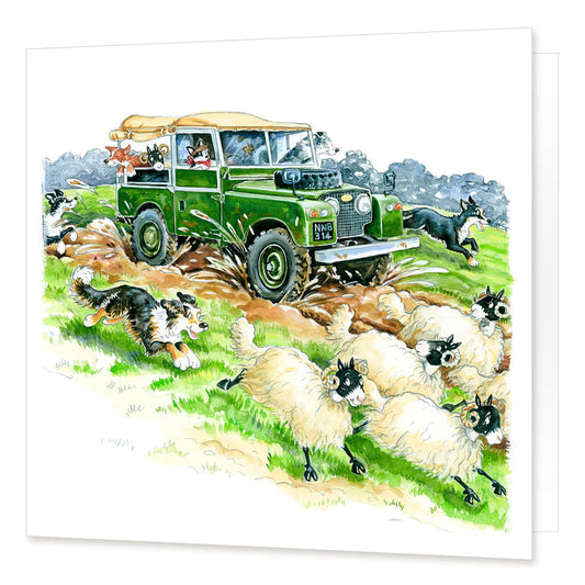 "Off Road Antics" Greetings Card | Great Stuff from Cardtoons