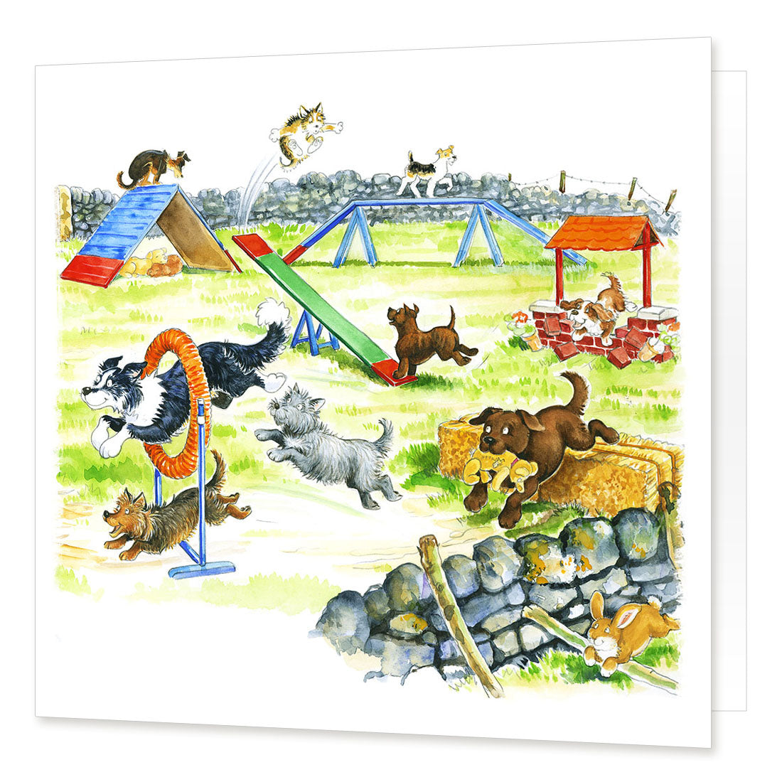 "Chasing Tails" Greetings Card | Great Stuff from Cardtoons