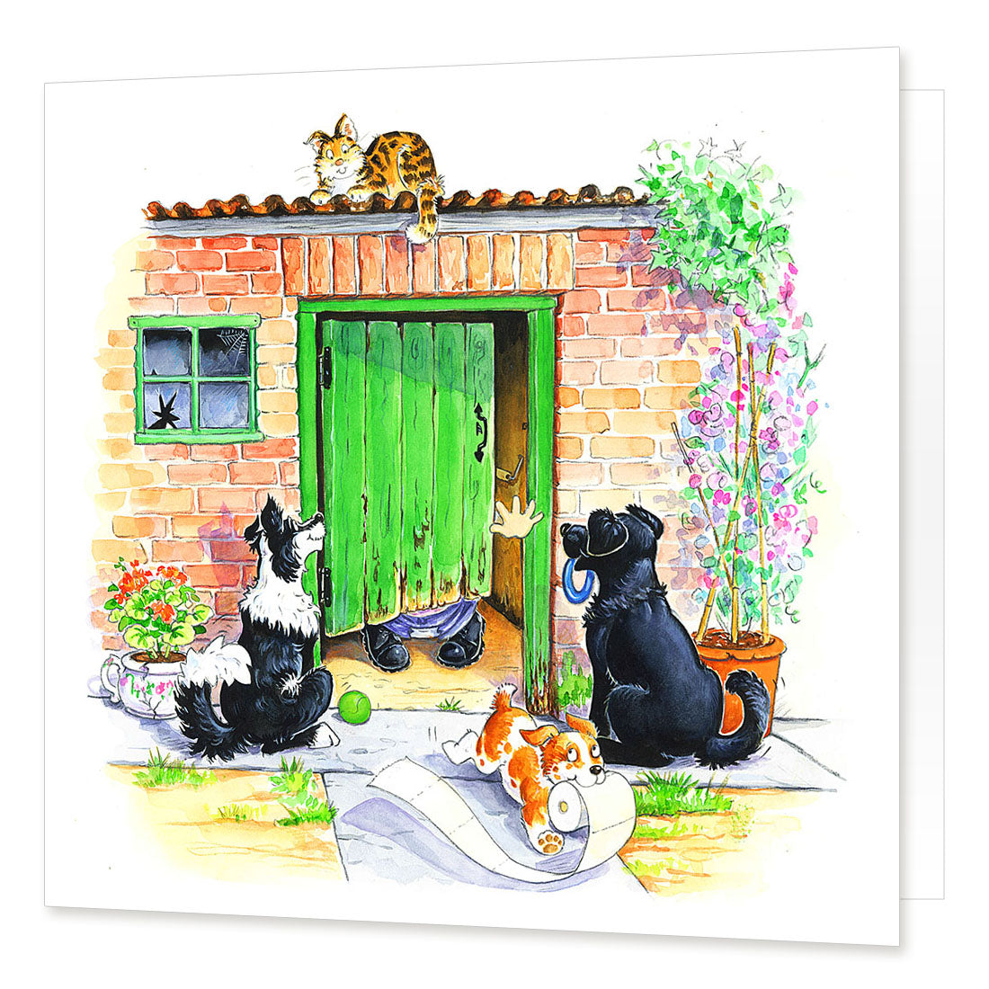 "Toilet Training" Greetings Card | Great Stuff from Cardtoons