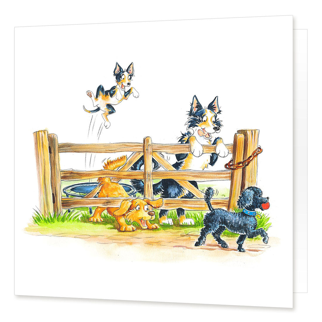 "Spring Loaded" Greetings Card | Great Stuff from Cardtoons