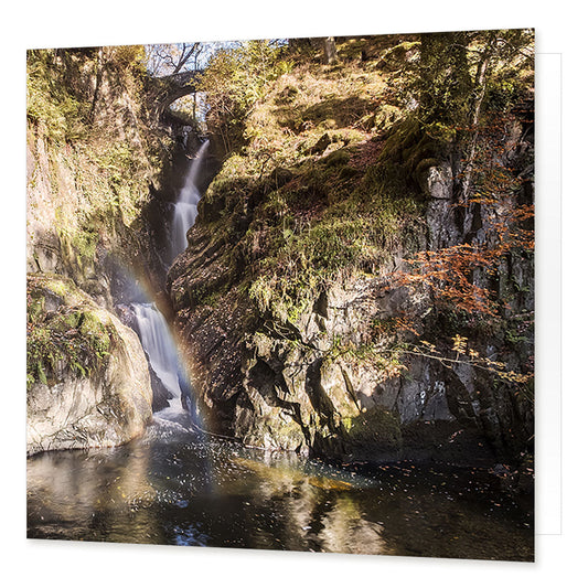 Aira Force greetings card © David Tarn from Cardtoons