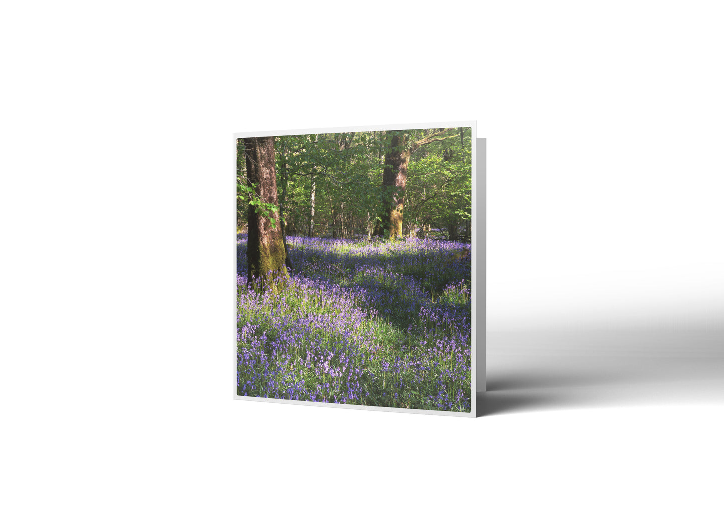 Bluebell Carpet Greetings Card
