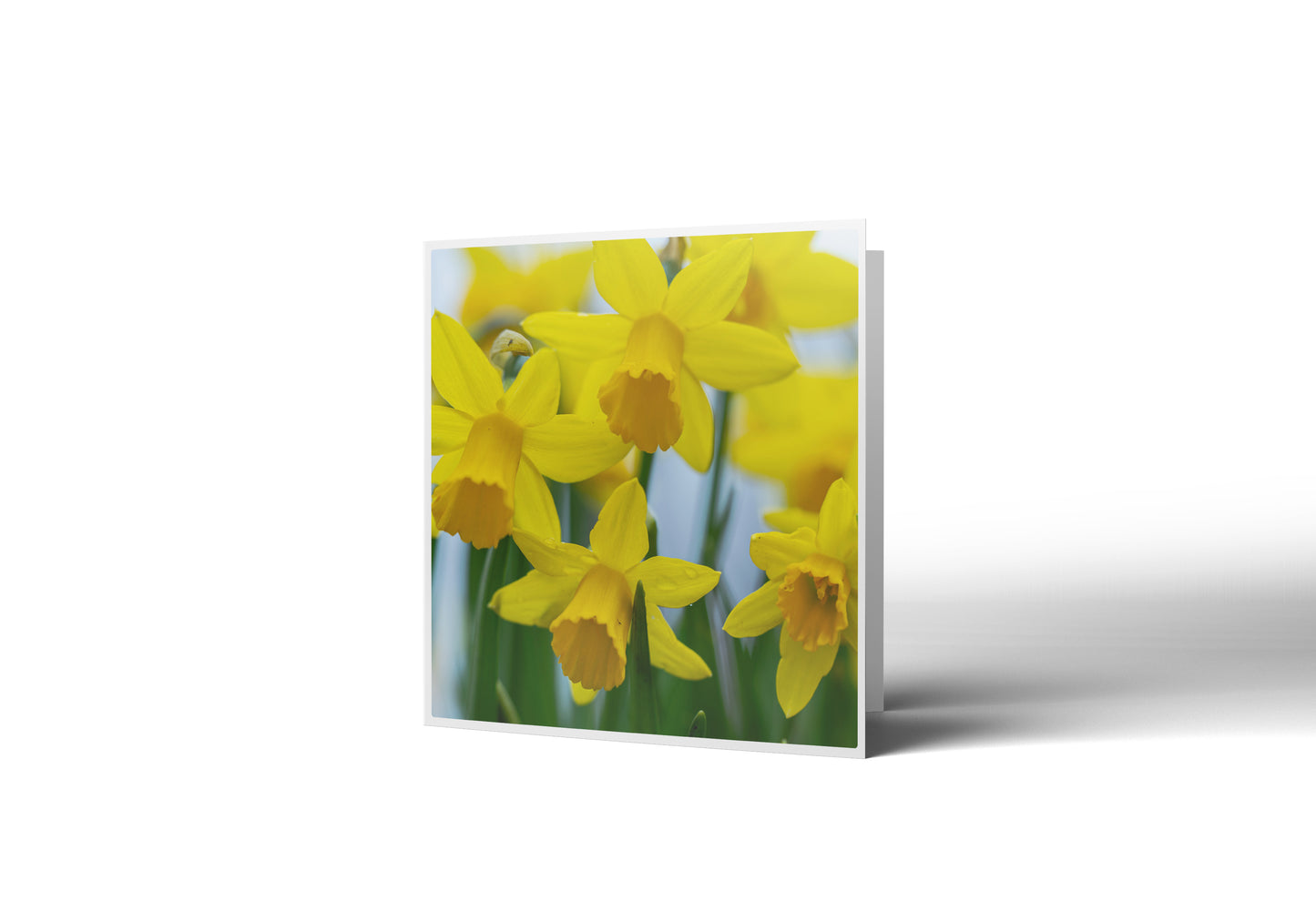 New Beginnings Greetings Card