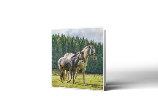 By Your Side Greetings Card