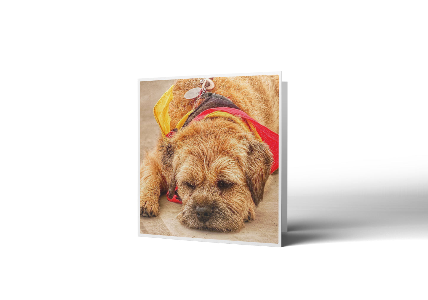 Dog Tired Greetings Card