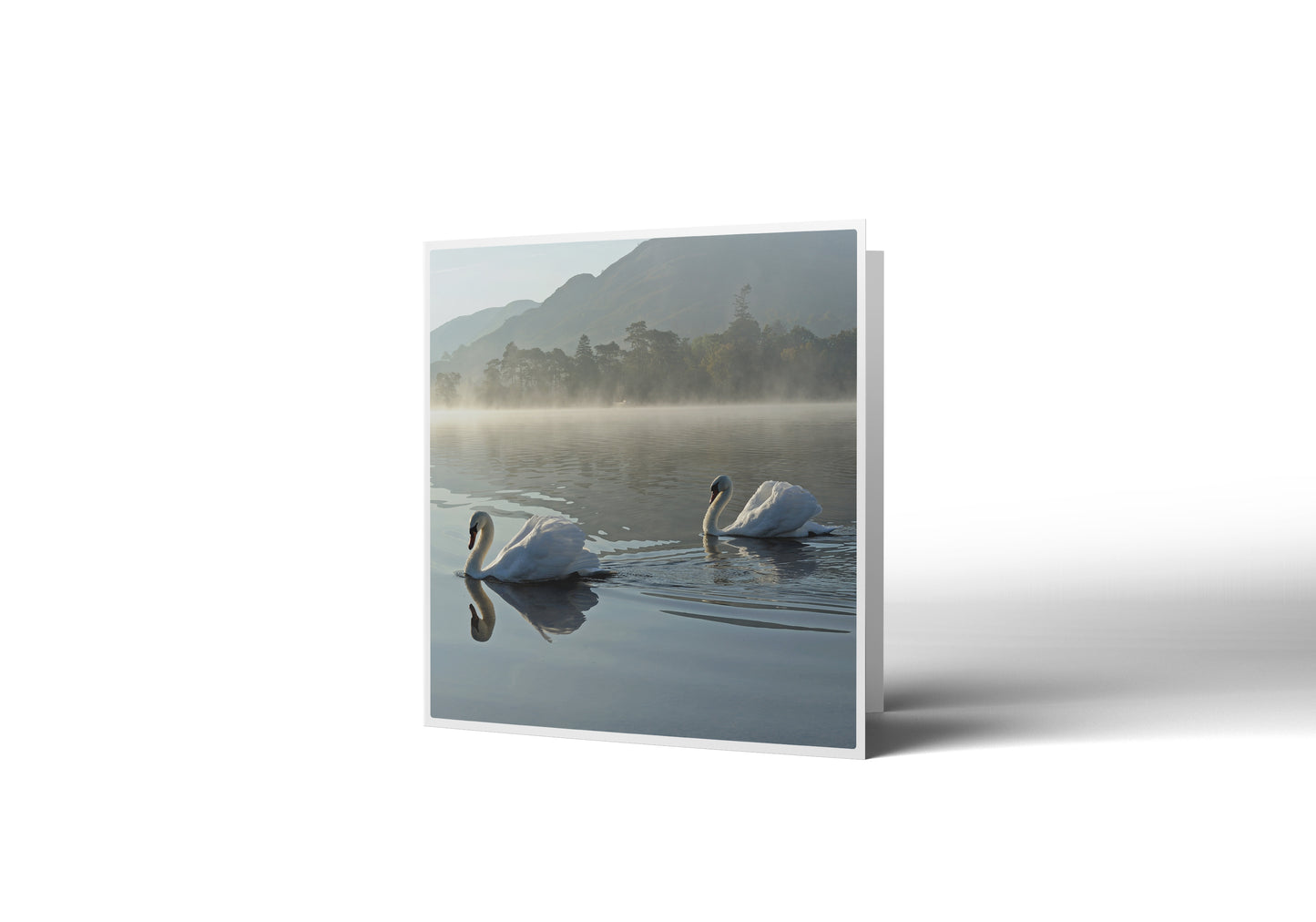 Swan Lake Greetings Card