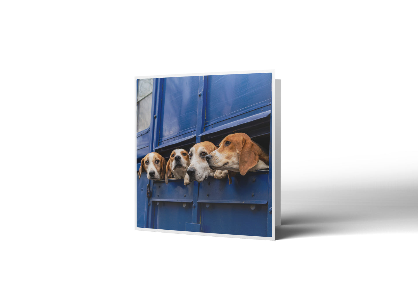 Aint Nothin' But A Hound Dog Greetings Card