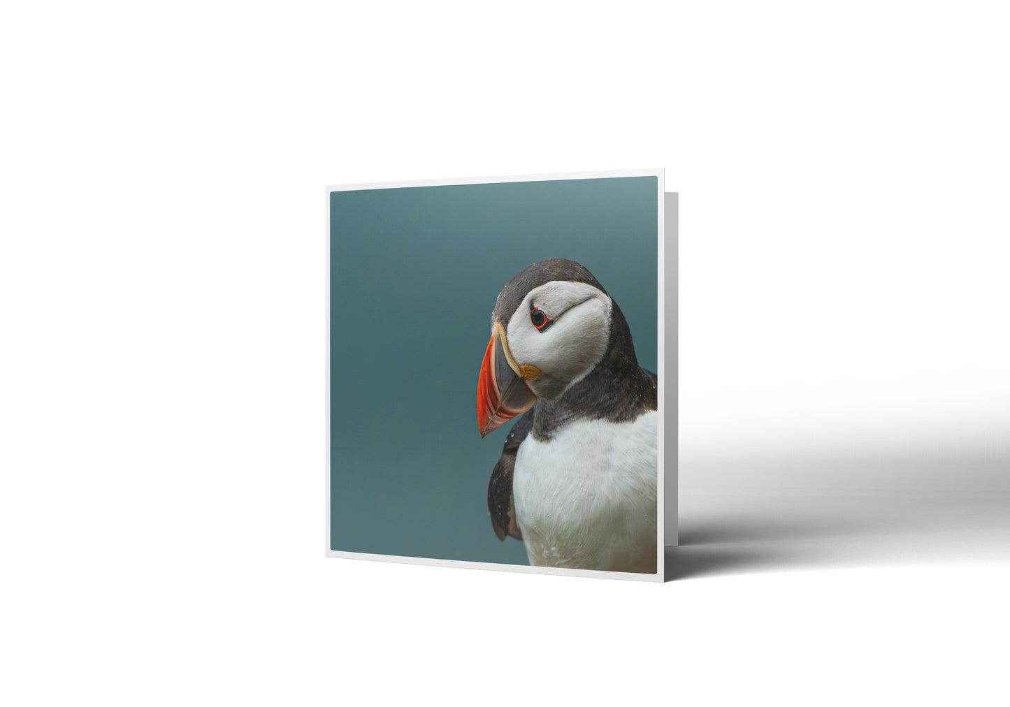 Huffin' & Puffin Greetings Card