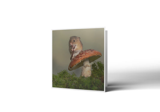 Neighbourhood Watch Greetings Card
