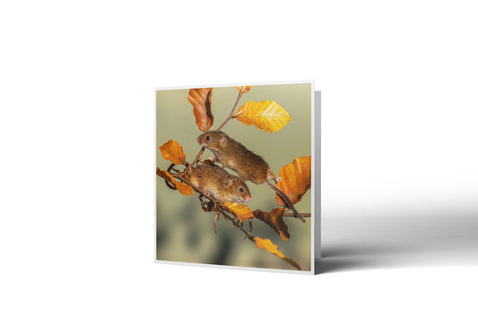 Meet The Balancing Brothers Greetings Card