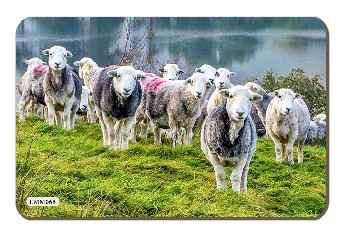 Herdies Melamine Fridge Magnet