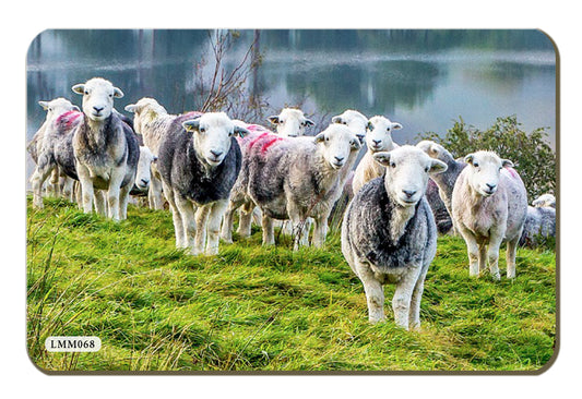 Herdies Melamine Fridge Magnet