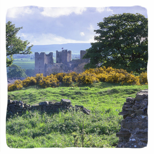 Castle Bolton Greetings Card