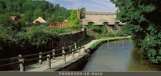 Thatched Cottage in Thornton le Dale postcard | Great Stuff from Cardtoons