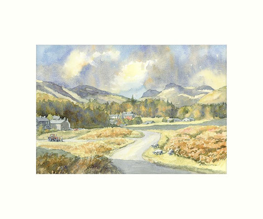 Elterwater Common art print | Great Stuff from Cardtoons