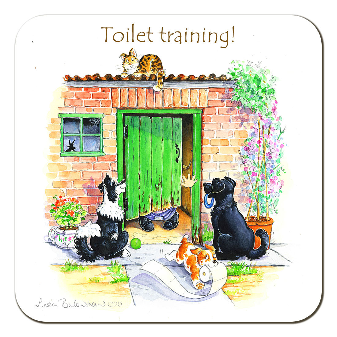 Country Comicals "Toilet Training" Coaster by Linda Birkinshaw